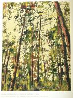 Bálványos Anna: Cseke Szilárd - Erdő sorozat. Forest series. [Budaörs, 2009.], Szerzői. A művész mun...