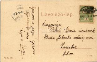 1908 Palánka, Bácspalánka, Backa Palanka; Casino szálloda. W.L. 677. / hotel