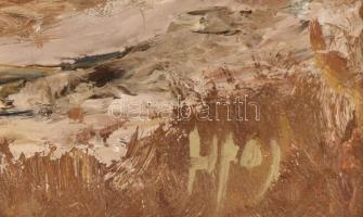 Sipos István (1945-?): Tanya vihar után. Olaj, farost. Jelzett. Hátoldalán autográf felirattal. Deko...