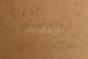 Sipos István (1945-?): Tanya vihar után. Olaj, farost. Jelzett. Hátoldalán autográf felirattal. Deko...