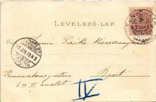 1897 (Vorläufer) Fenyőháza, Lubochna; Új szálloda, Középső rész, Csiga és Ilka útról nézve, Felső zs...