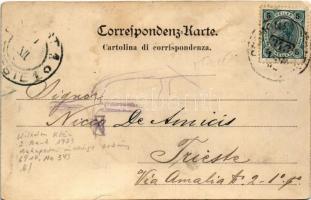 1902 Poggio Terza Armata, Sdraussina, Sdraussine, Zdravscine; Un saluto dal Gelso di Sdraussina / in...