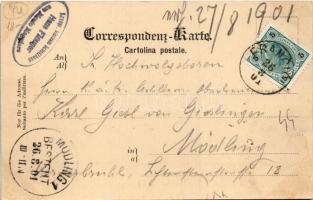 1901 Ucka, Monte Maggiore; Strasse nach Abbazia / road to Opatija. Alois Beer