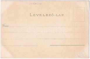 Ópálos, Ópaulis, Paulis (Arad-Hegyalja); látkép, Margit villa, népviselet / general view, villa, fol...