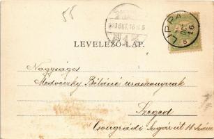 1903 Temesújfalu, Temes-Újfalu, Neudorf; Kreutzgasse mit Freifaltigkeit-Monument / Kereszt utca, Sze...