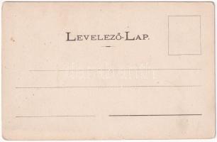 Tapolyhanusfalva, Hanusfalva, Hanusovce nad Toplou; Fő utca, Béla-telep. Divald Adolf 124. / street ...