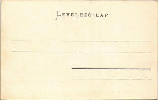 Detrekőváralja, Plossenstein, Plavecké Podhradie; látkép a várromtól. Wiesner Alfred kiadása / view ...