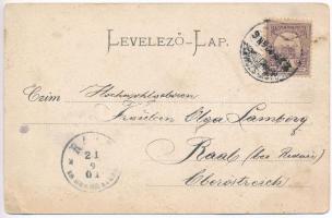 1901 Nagyszombat, Trnava; Nagy Lajos utca, Josef Halle üzlete. S. Cybulski kiadása / street view, sh...