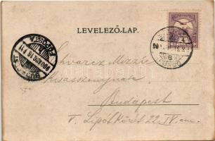 1900 Zólyom, Zvolen; vár / castle (r)