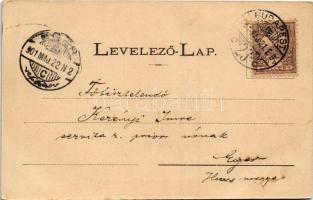 1901 Budapest II. Rézmál-dűlő, Brunecker József vendéglője a Vadászkürthöz, étterem. Készítette Nová...