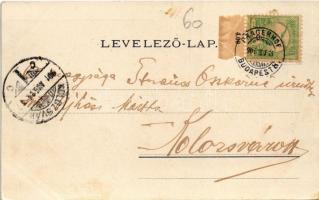 1901 Siófok, Kikötő, gőzhajó, fürdőház. Hirsch Mór kiadása + "PRAGERHOF - BUDAPEST 8" vasú...