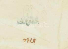 Franz Ant Mechlen szecessziós, óriás fajansz kaspó. Kézzel festett, jelzett, minimális kopással. d: ...