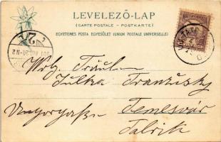 1901 Tátrafüred, Ótátrafüred, Bad Altschmecks, Stary Smokovec (Magas-Tátra, Vysoké Tatry); a Nagysza...