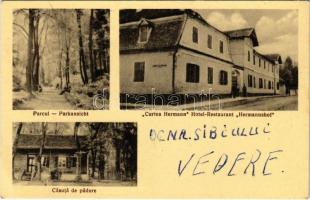 Vízakna, Salzburg, Ocna Sibiului; Park, Hermannshof szálloda és étterem, erdei ház / Casuta de padure, Curtea Hermann / hotel and restaurant, forest villa