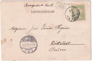 1902 Párkány, Stúrovo; Gyógyszertár / pharmacy (EK)