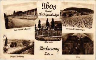 1937 Badacsony, Ibos család szőlőgazdasága, szőlőrészlet a házzal, Ibos kúria, pince belső (EK)