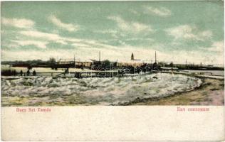 Szenttamás, Bácsszenttamás, Srbobran; látkép, kikötő télen / general view, port in winter (EK)