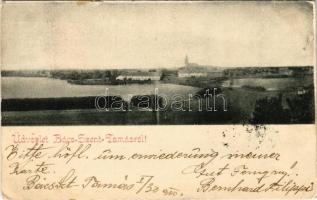 1900 Szenttamás, Bácsszenttamás, Srbobran; látkép / general view (EK)