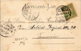 1904 Pancsova, Pancevo; Almáser Gasse / Almásy utca, Graff üzlete / street view, shops (EM)