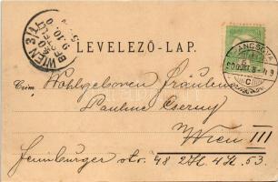 1900 Pancsova, Pancevo; Maria-Theresiagasse / Mária Terézia utca, Poppovits Nádor és Társa üzlete. C...