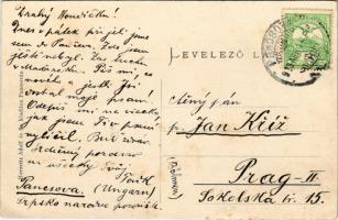 1913 Pancsova, Pancevo; Sztarcsovai út, Pancsovai Népbank, Stefanie Kalmár, Juba és Csányi üzlete, g...