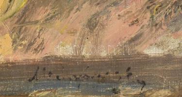 Mednyánszky jelzéssel: Magas Tátra. Olaj, kartonra kasírozott vászon, sérült keretben. 46x64cm