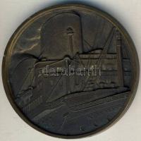 Franciaország DN "Ile de France-személyszállító gőzhajó" Br emlékérem T:2