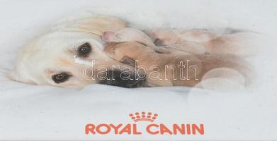 Royal Canin fém dobozban kutya póráz és szájkosár