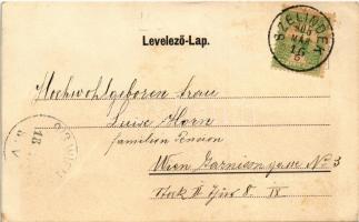 1905 Szelindek, Stolzenburg, Slimnic; Sächsisches Brautpaar, ev. Pfarrhof / vár, szász népviselet, e...