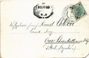 1900 Bzí (Dolní Bukovsko), Modra Hurka, Zámek / castle. Art Nouveau, floral (EM)