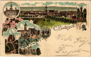 ~ 1899 (Vorläufer) Ceské Budejovice, Budweis; Radnice, Starodavna vez, Zámek Hluboká, Námestí Kst. chrámem, Lannuv pomnik / town hall, castle, square, statue. Art Nouveau, floral, litho (Rb)