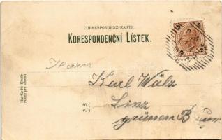 ~ 1899 (Vorläufer) Ceské Budejovice, Budweis; Radnice, Starodavna vez, Zámek Hluboká, Námestí Kst. c...