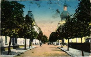 Targu Jiu, Zsilvásárhely; Strada Unirei / street (fa)