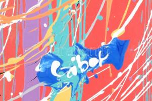 Czibor Ildikó (1969- ): Szinomer. Akril, farost, jelzett, hátoldalán autográf felirattal, 70x50 cm