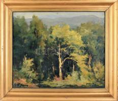 Gál János (1894-1976): Erdőrészlet. Olaj, vászon. Dekoratív, kissé kopott fa keretben, 54x61 cm