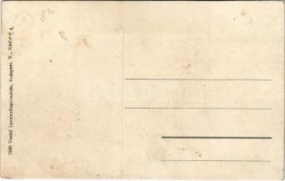 Nagymihály, Michalovce; Sulyovszky utca. Vasúti levelezőlapárusítás 7896. / street (fl)