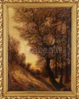 Mille jelzéssel: Erdőrészlet domboldallal. Olaj, vászon. Dekoratív fa keretben, 67x49 cm