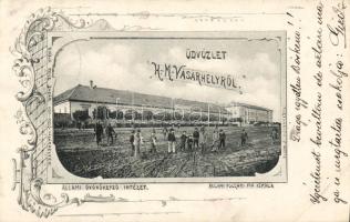 Hódmezővásárhely óvónőképző