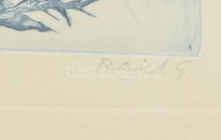 Reich Gábor (1951-): Tájkép II. Rézkarc, papír. Számozott: 11/84. Jelzett. Üvegezett, dekoratív fa k...