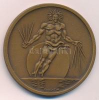 Borsos Miklós (1906-1990) 1980. "XXVIII. International Congress of Physiological Sciences Budap...