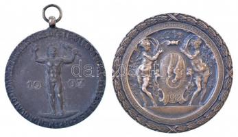1912. "Budapest Székesfőváros Közlekedési Részvénytársaság Sportegyesülete a sport terén elért kiváló kiváló érdemek jutalmazására - 1912 / Concordia parvaeres crescunt discordia maximae dilabuntur durateet vosmet rebus servate secundis" ezüstözött, Br díjérem, peremén "BRONZ" jelzéssel (40mm) + DN "Vendéglátó Ipari Munkások Egyetértés Sportegyesülete Budapest 1907" fém díjérem füllel, mellszalag nélkül T:2,2-