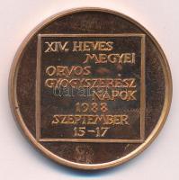 Máté István (1952-) 1988. "A Gyöngyösi Kórház alapításának emlékére, Vezekényi István kórházala...