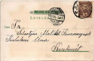 1901 Szilágyi Dezső, a képviselőház elnöke, volt igazságügyi miniszter s a budapesti egyetemen a pol...