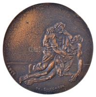 Borsos Miklós (1906-1990) 1955. Hommage á Albert Schweitzer 1955 kétoldalas, öntött bronz emlékérem (~85mm) T:1-