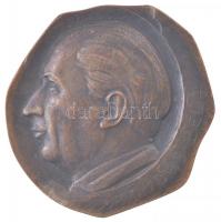 Tápai Antal (1902-1986) DN Dr. Dudás Béla egyoldalas, öntött bronz plakett (121x112mm) T:1-