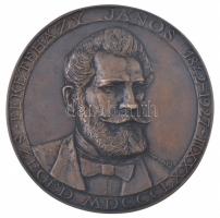 Józsa Gábor (1955-) DN Feketeházy János 1842-1927 - Szeged MDCCCLXXXIII egyoldalas, öntött bronz plakett (131mm) T:1-