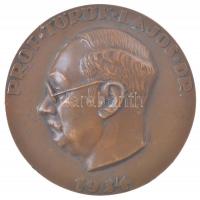Reményi József (1887-1977) 1934. Prof. Török Lajos Dr. kétoldalas bronz emlékplakett (94mm) T:1-,2 kis patina, ü., ph.