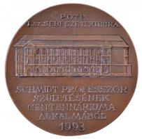 Soltra Elemér (1922-2013) 1993. "Dr. Schmidt Lajos sebész, egyetemi tanár 1893-1957 / POTE I. s...
