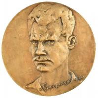 Lapis András (1942-) DN József Attila / UNIVERSITAS SZEGEDIENSIS DE ATTILA JÓZSEF NOMINATA kétoldalas, öntött bronz emlékérem (119mm) T:1-