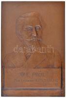 Dr. Hőgyes Ferenc (1860-1923) 1897. DR. E. POÓR PROF. EXTRAORD. DERMATOLOGIAE 1825-1897 Dr. Poór Imre bőrgyógyászt ábrázoló egyoldalas, öntött bronz plakett (157x107mm) T:1-,2